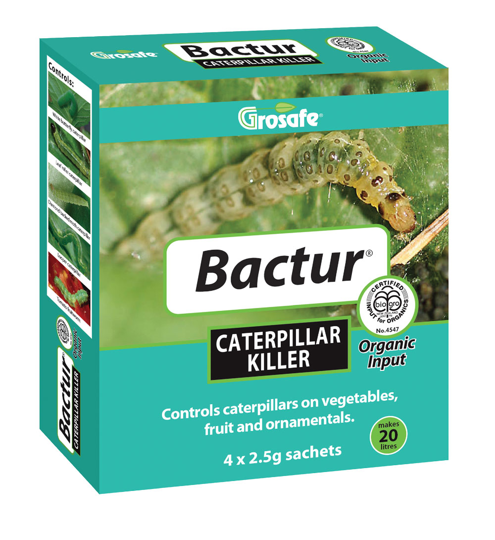 How to get rid of Caterpillars Kings Plant Doctor