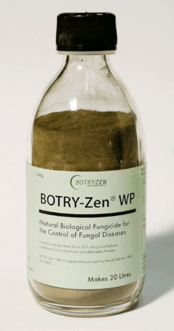 How to get rid of BOTRYTIS FUNGUS Kings Plant Doctor